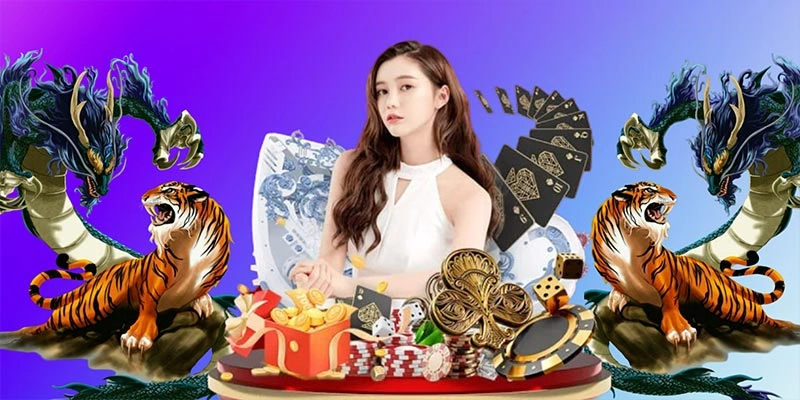 Lưu ý quan trọng để cược rồng hoặc hổ hiệu quả